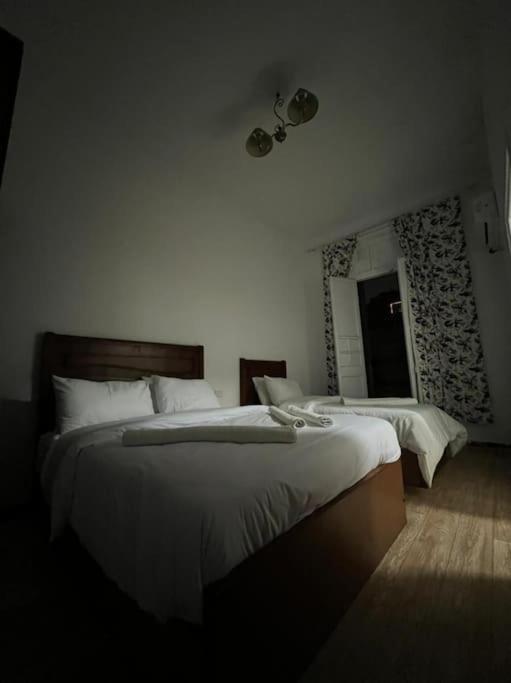 Charming Studio With Italian Architectural Style 开罗 外观 照片